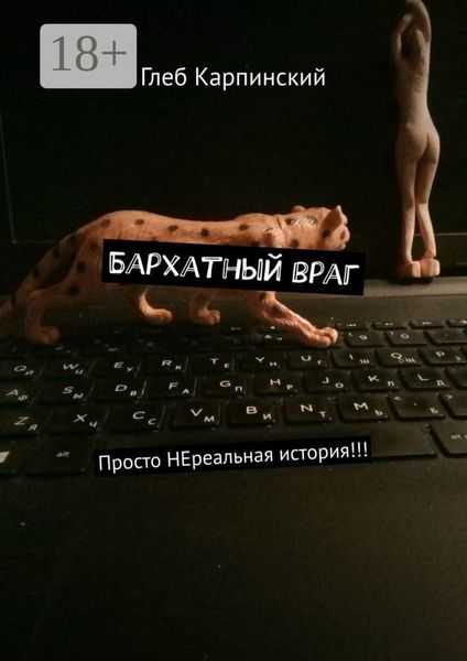 Обложка книги  «Бархатный враг. Просто НЕреальная история!!!»