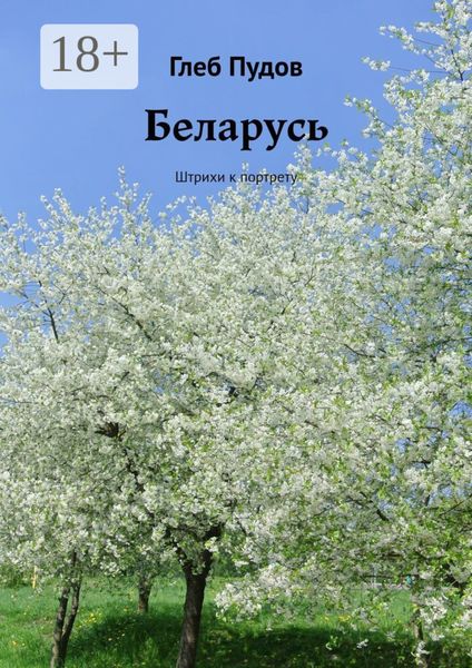 Обложка книги  «Беларусь. Штрихи к портрету»