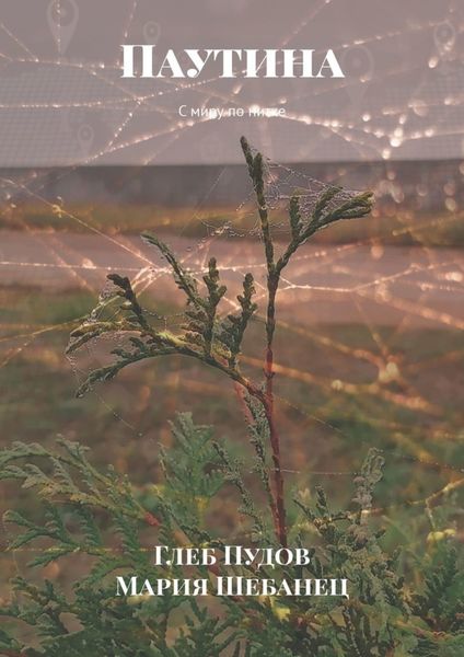 Обложка книги «Паутина. С миру по нитке»