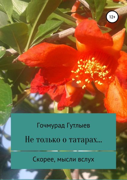Обложка книги «Не только о татарах… Скорее, мысли вслух»
