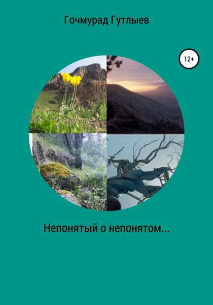 Обложка книги «Непонятый о непонятом»
