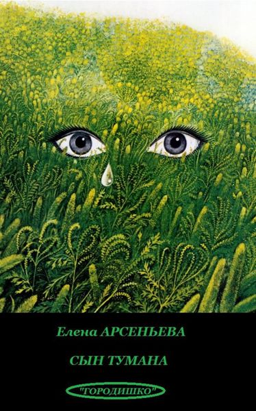 Обложка книги  «Сын тумана»