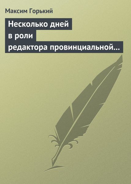 Обложка книги  «Несколько дней в роли редактора провинциальной газеты»