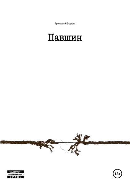 Обложка книги  «Павшин»