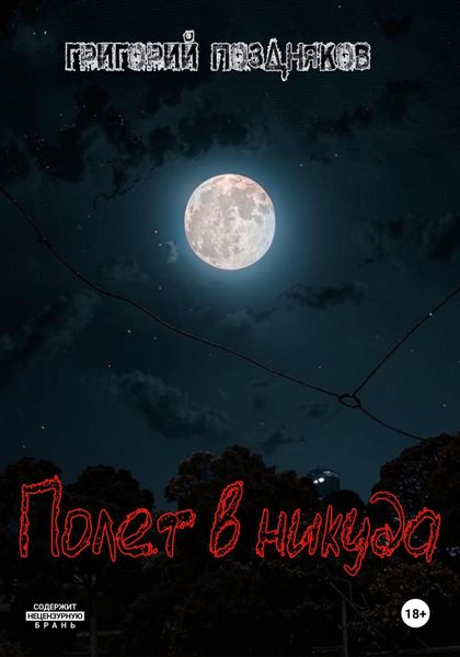 Обложка книги «Полет в никуда»