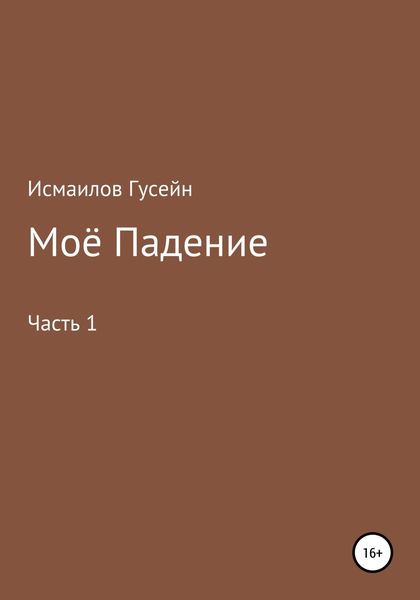 Обложка книги  «Моё падение»