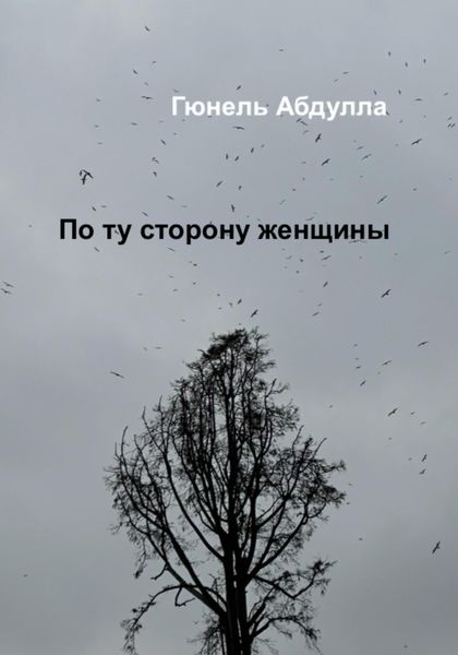Обложка книги «По ту сторону женщины»