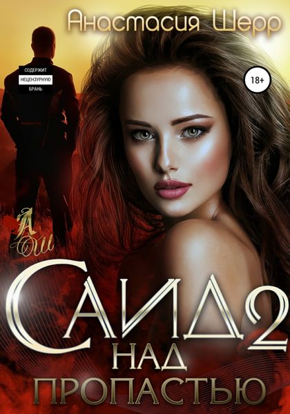 Обложка книги  «Саид 2. Над пропастью»