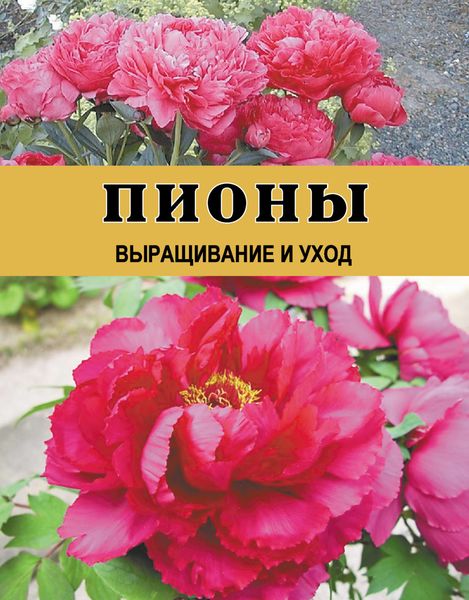 Обложка книги  «Пионы. Выращивание и уход»