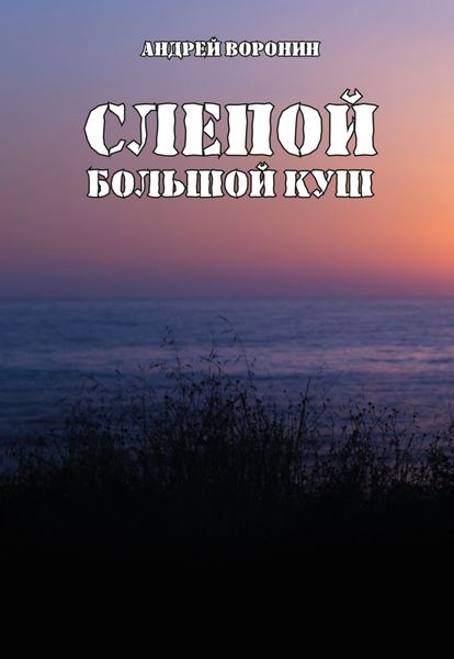 Обложка книги  «Слепой. Большой куш»