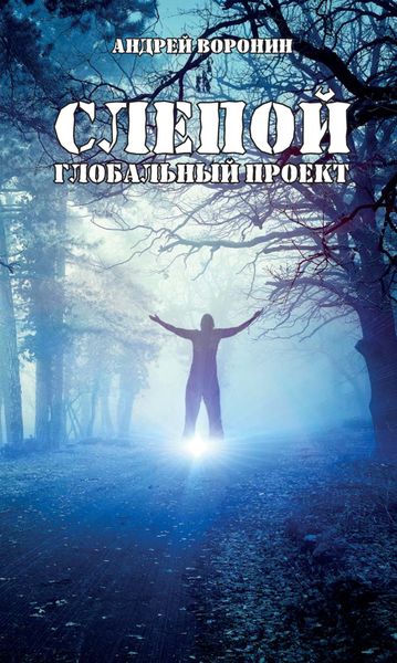 Обложка книги  «Слепой. Глобальный проект»