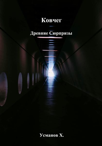 Обложка книги  «Ковчег. Древние сюрпризы»