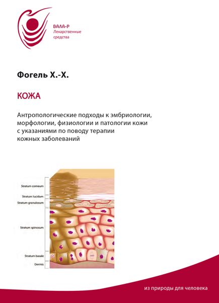 Обложка книги «Кожа. Антропологические подходы к эмбриологии, морфологии, физиологии, патологии кожи. Указания по терапии»