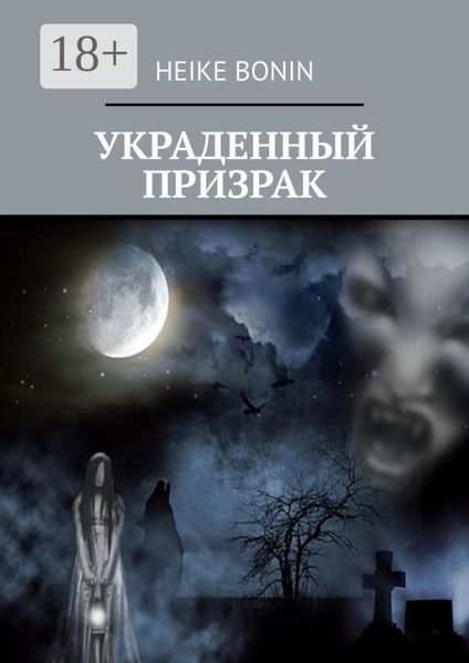 Обложка книги  «Украденный призрак»