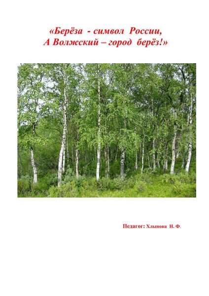 Обложка книги «Берёза символ России, а Волжский – город берёз»