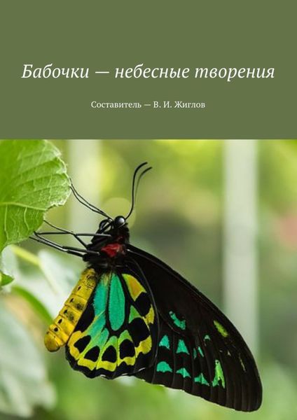 Обложка книги  «Бабочки – небесные творения»