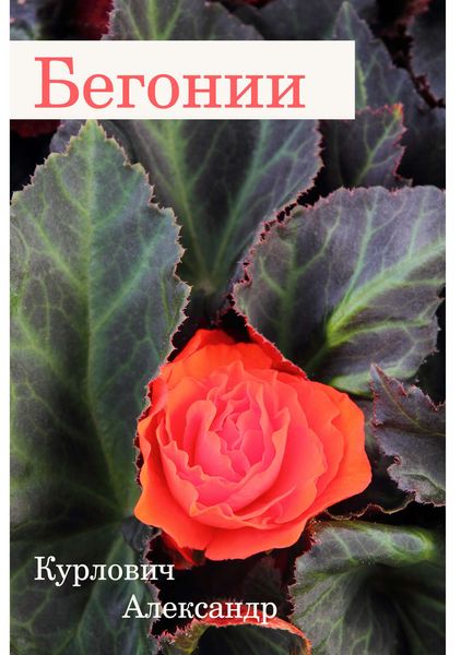 Обложка книги  «Бегонии»