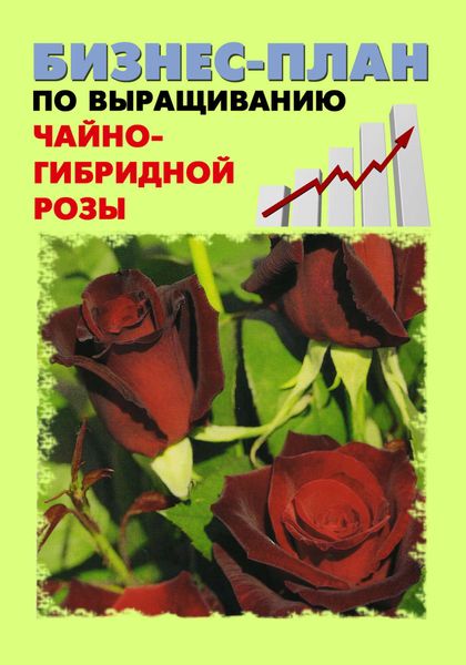 Обложка книги  «Бизнес-план по выращиванию чайно-гибридной розы»