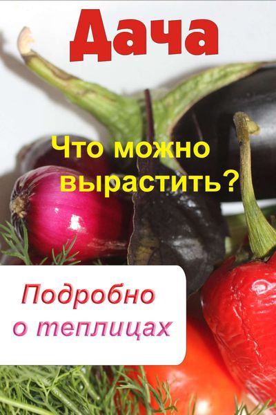 Обложка книги  «Что можно вырастить? Подробно о теплицах»