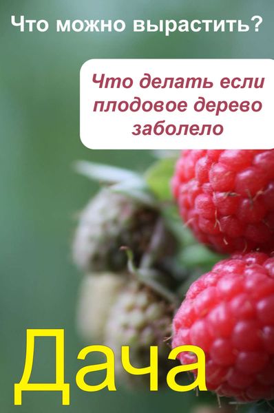 Обложка книги  «Что можно вырастить? Что делать, если плодовое дерево заболело»
