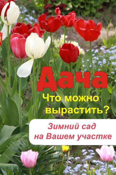 Обложка книги  «Что можно вырастить? Зимний сад на вашем участке»
