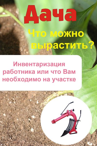 Обложка книги  «Что можно вырастить? Инвентаризация работника, или Что вам необходимо на участке»