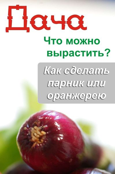 Обложка книги  «Что можно вырастить? Как сделать парник или оранжерею»