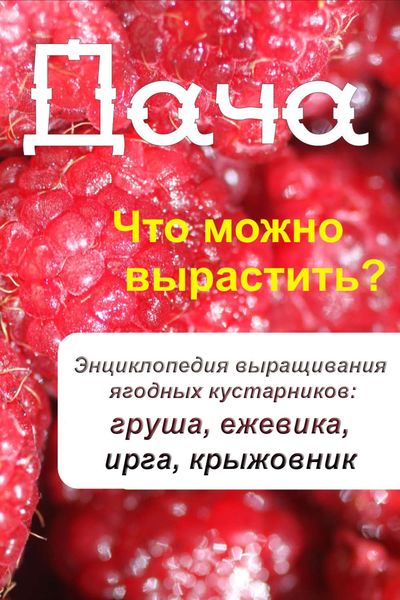 Обложка книги  «Что можно вырастить? Энциклопедия выращивания ягодных кустарников: груша, ежевика, ирга, крыжовник»
