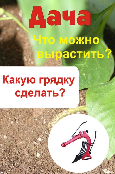 Обложка книги  «Что можно вырастить? Какую грядку сделать?»