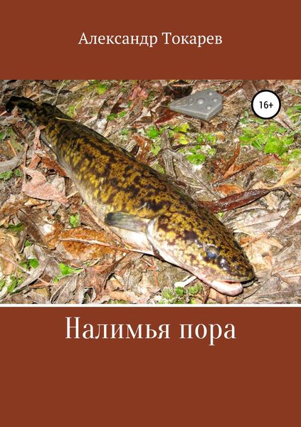 Обложка книги  «Налимья пора»