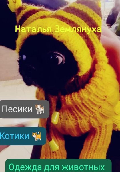 Обложка книги  «Одежда для животных»