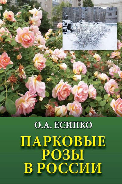 Обложка книги  «Парковые розы в России»