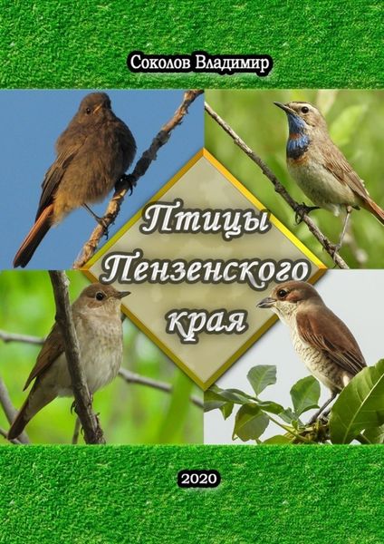 Обложка книги  «Птицы Пензенского края. Или моя первая фотовыставка»