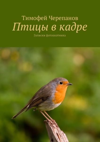 Обложка книги  «Птицы в кадре. Записки фотоохотника»