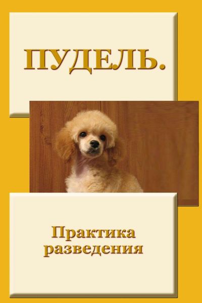 Обложка книги  «Пудель. Практика разведения»