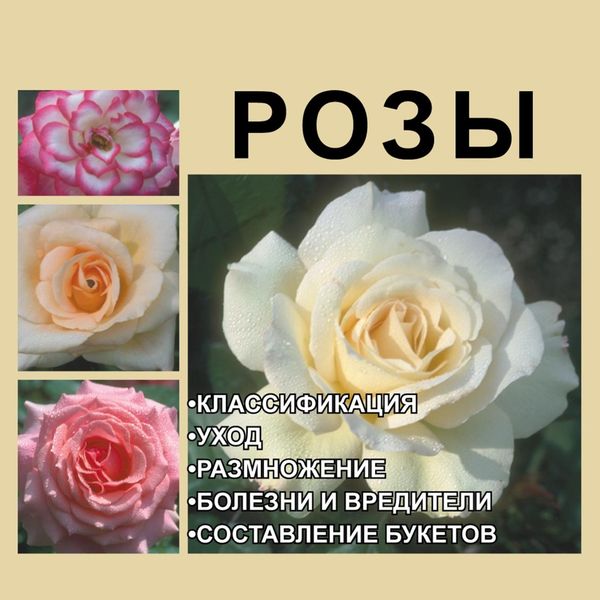 Обложка книги  «Розы»