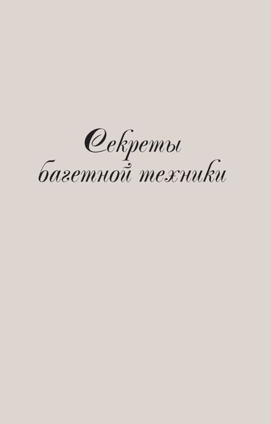 Обложка книги «Секреты багетной техники»