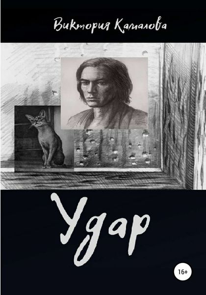 Обложка книги  «Удар»