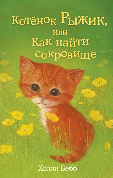 Обложка книги  «Котёнок Рыжик, или Как найти сокровище»