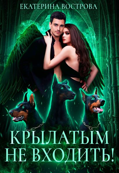 Обложка книги  «Крылатым не входить!»