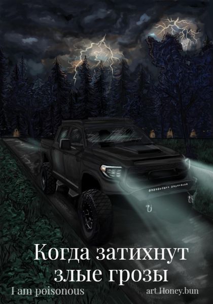 Обложка книги «Когда затихнут злые грозы»