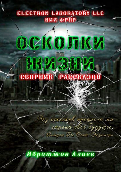 Обложка книги  «Осколки жизни. Сборник рассказов»