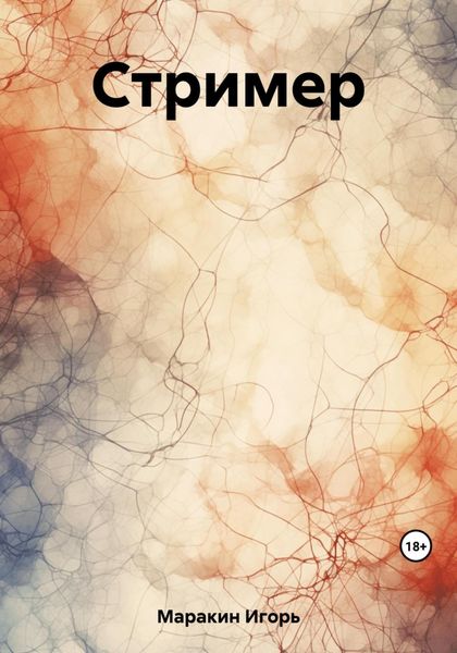 Обложка книги  «Стример»