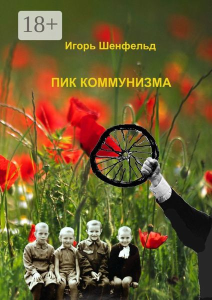 Обложка книги  «Пик коммунизма»