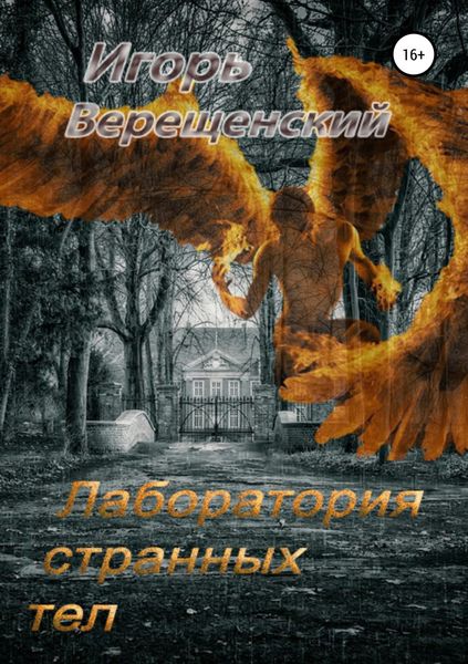 Обложка книги «Лаборатория странных тел»