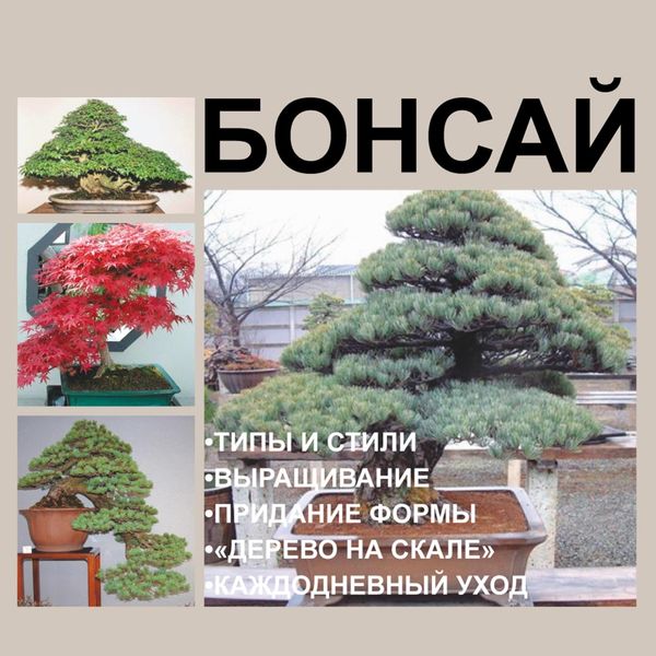 Обложка книги  «Бонсай»