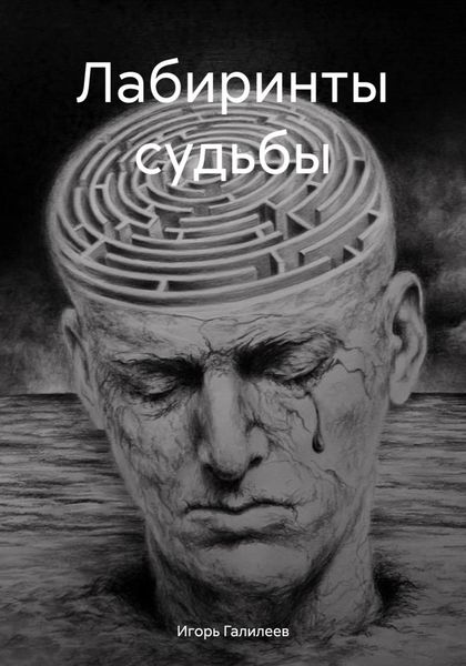 Обложка книги  «Лабиринты судьбы»