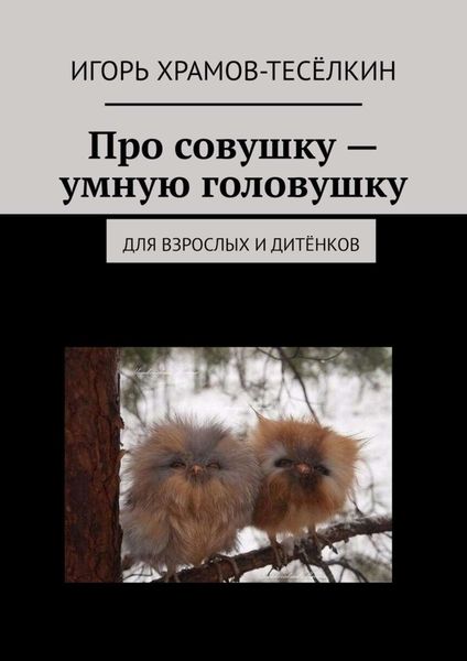 Обложка книги  «Про совушку – умную головушку. Для взрослых и дитёнков»
