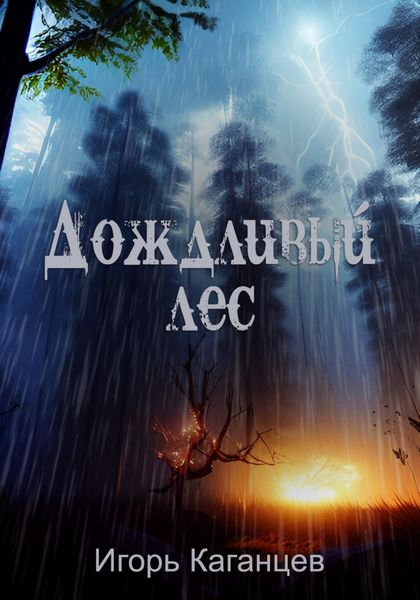 Обложка книги «Дождливый лес»