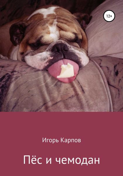 Обложка книги  «Пёс и чемодан»